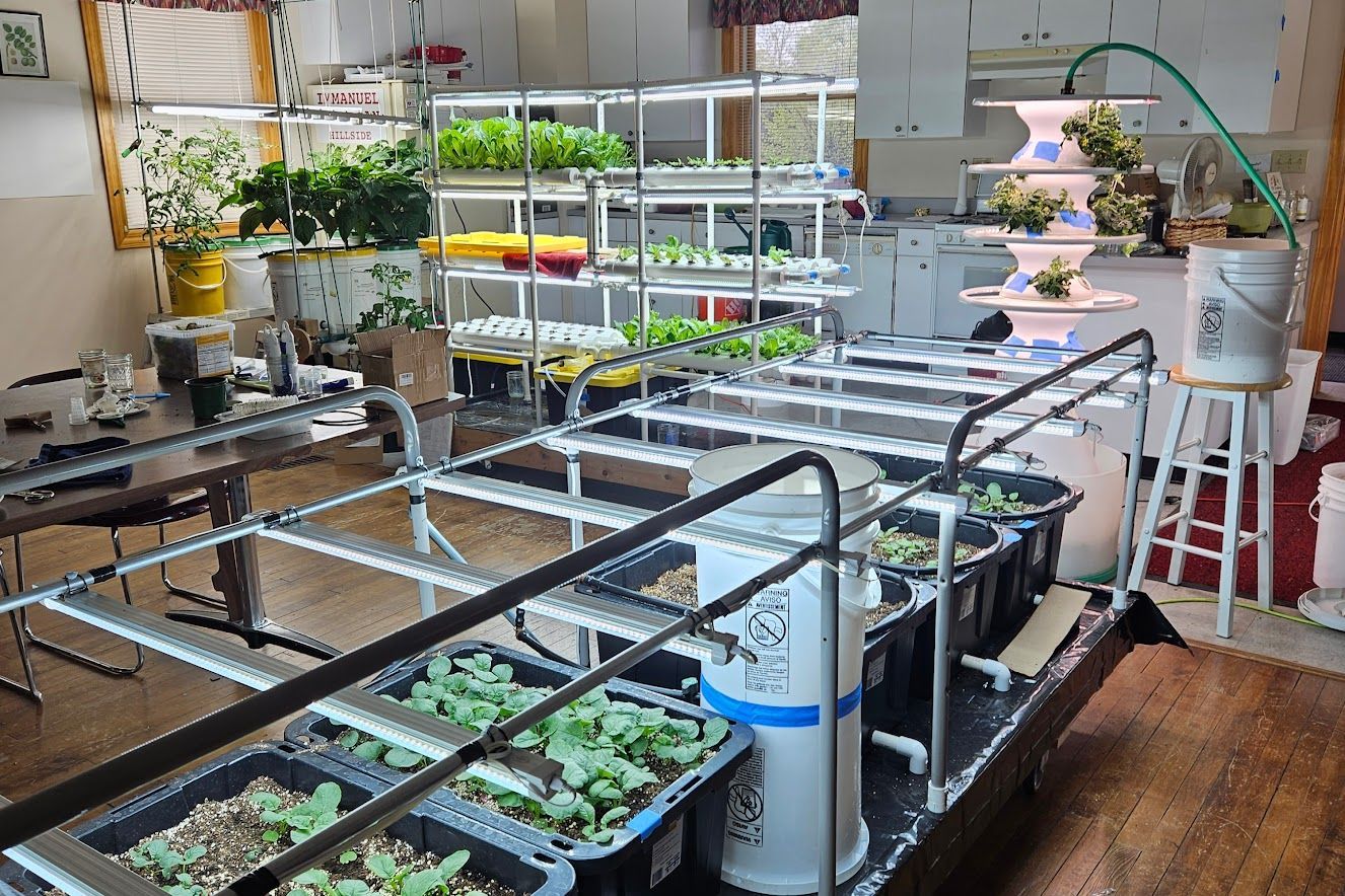 A room filled with lots of plants.