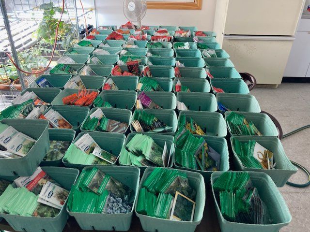 A table full of green baskets filled with seeds