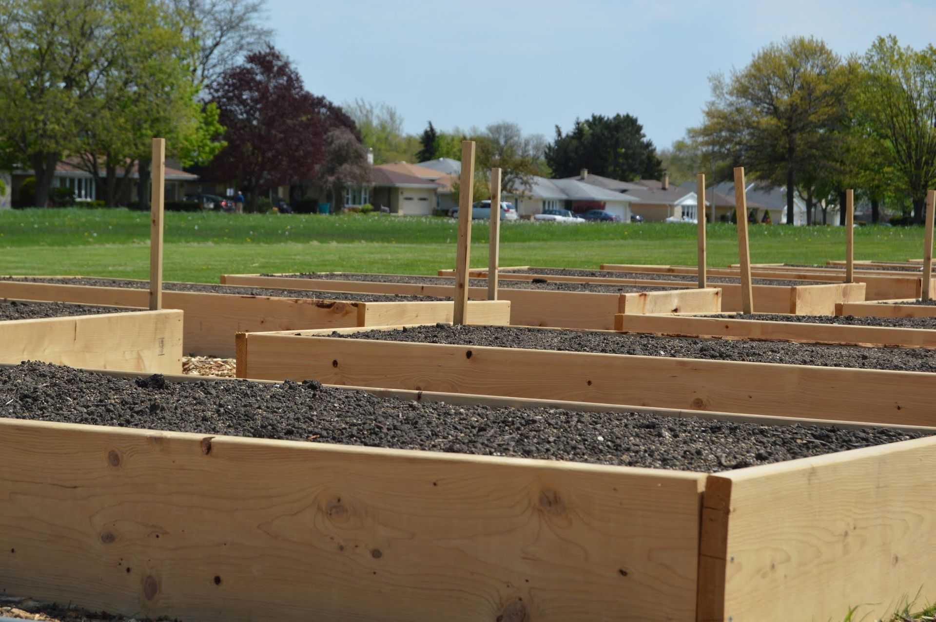 A row of wooden raised garden beds in a park