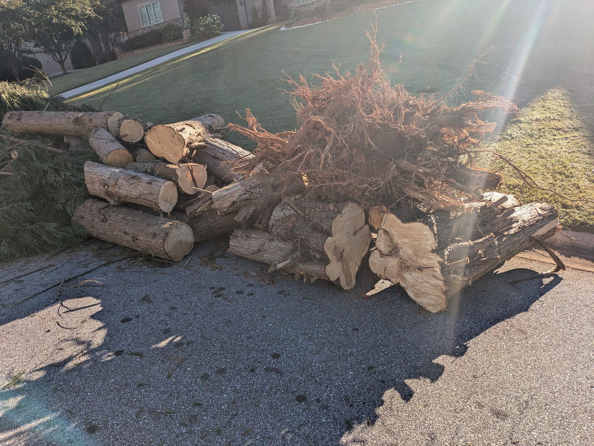 Logs and tree debris on asphalt and grass next to a residential area.