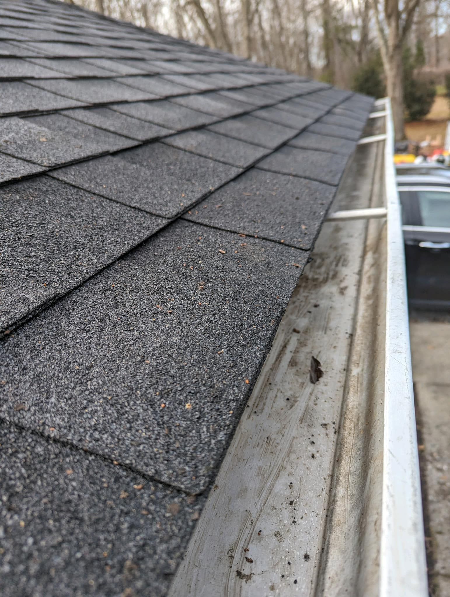 Black asphalt roof with gutter, showing dirt and debris buildup.