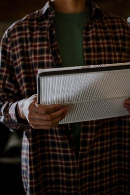 A person in a plaid flannel shirt holding a pleated rectangular air filter.