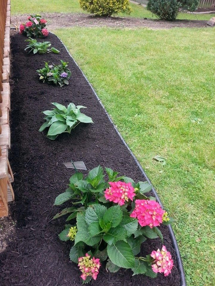 Mulched flower bed with pink blooms along a green lawn and garden border