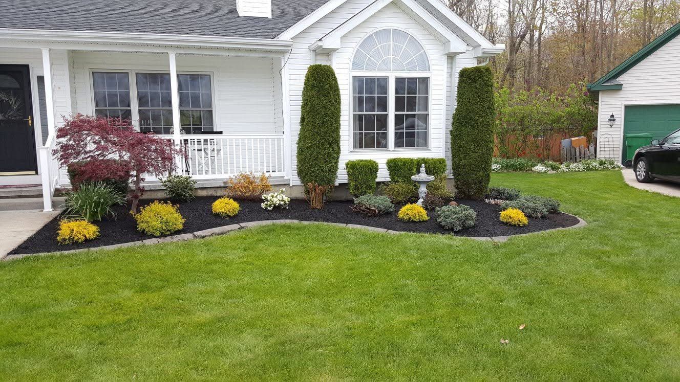 Front yard with trimmed lawn, black mulch flower beds, yellow flowers, shrubs, and a white house facade