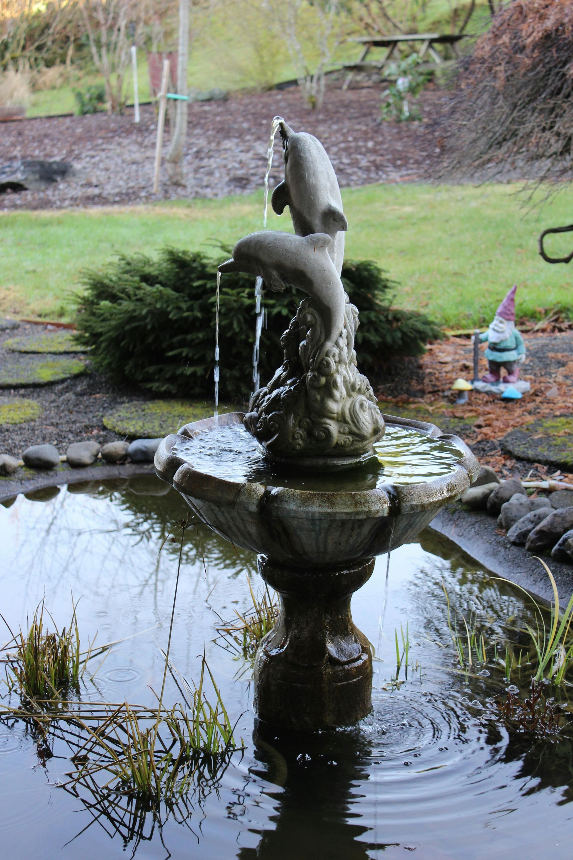 Garden fountain with a fish sculpture spilling water into a pond, surrounded by grass and rocks