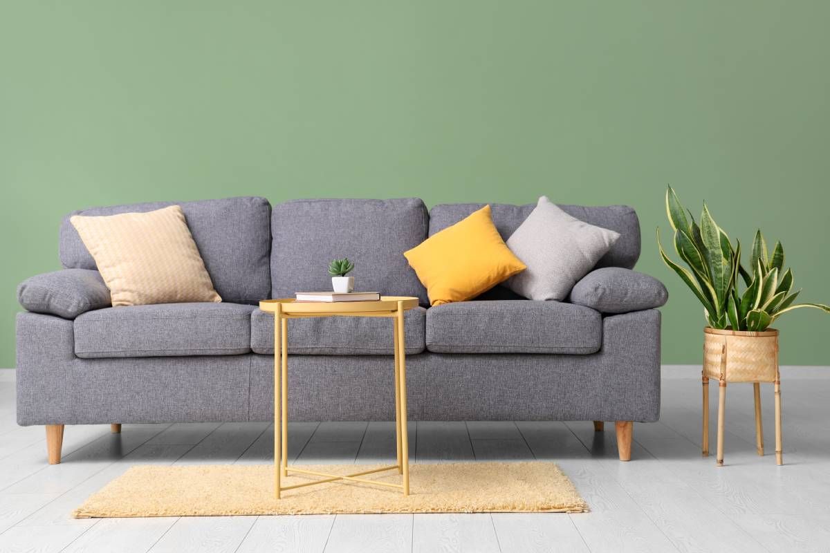 A stylish living room setup with a green wall at Color Store near Des Moines & Waukee, Iowa (IA) and Omaha, Nebraska (NE)