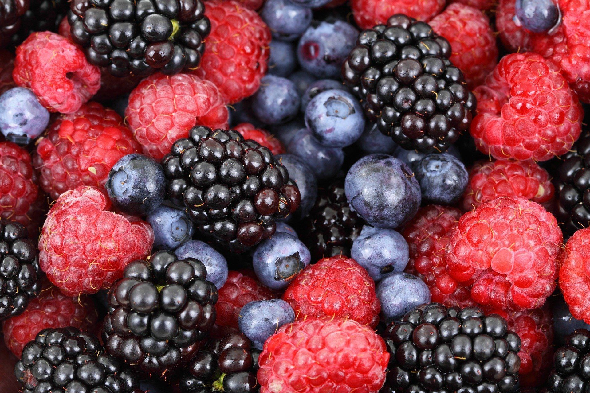 Close-up of assorted berries: red raspberries, dark blueberries, and black blackberries.