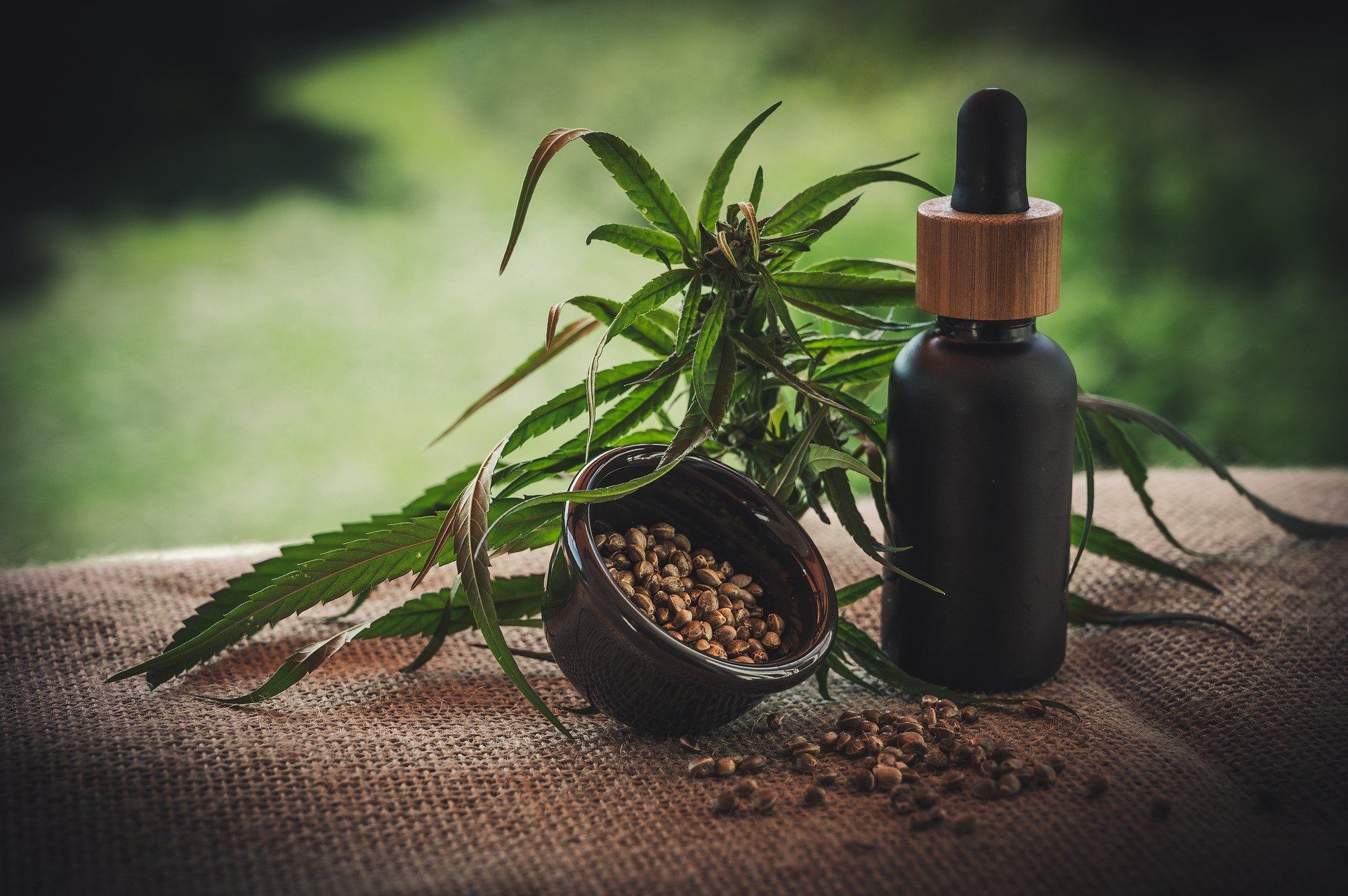 A bottle of CBD oil with a dropper sits next to cannabis plant leaves and seeds.