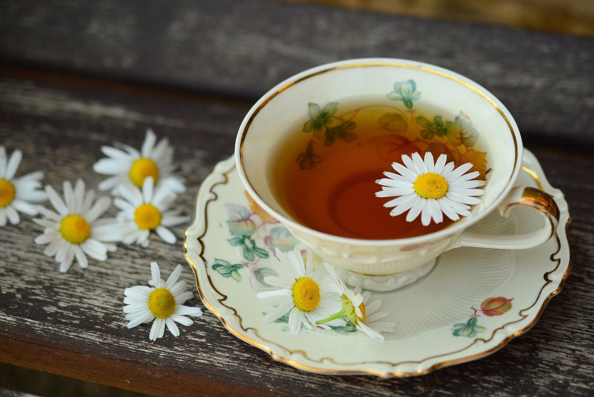 A teacup on a saucer with chamomile flowers and tea.
