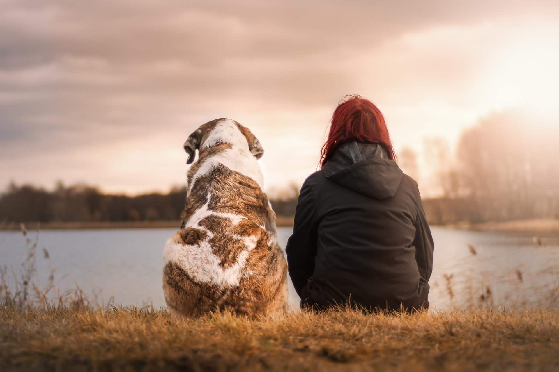 Woman with red hair and large dog sit together by a lake at sunset.