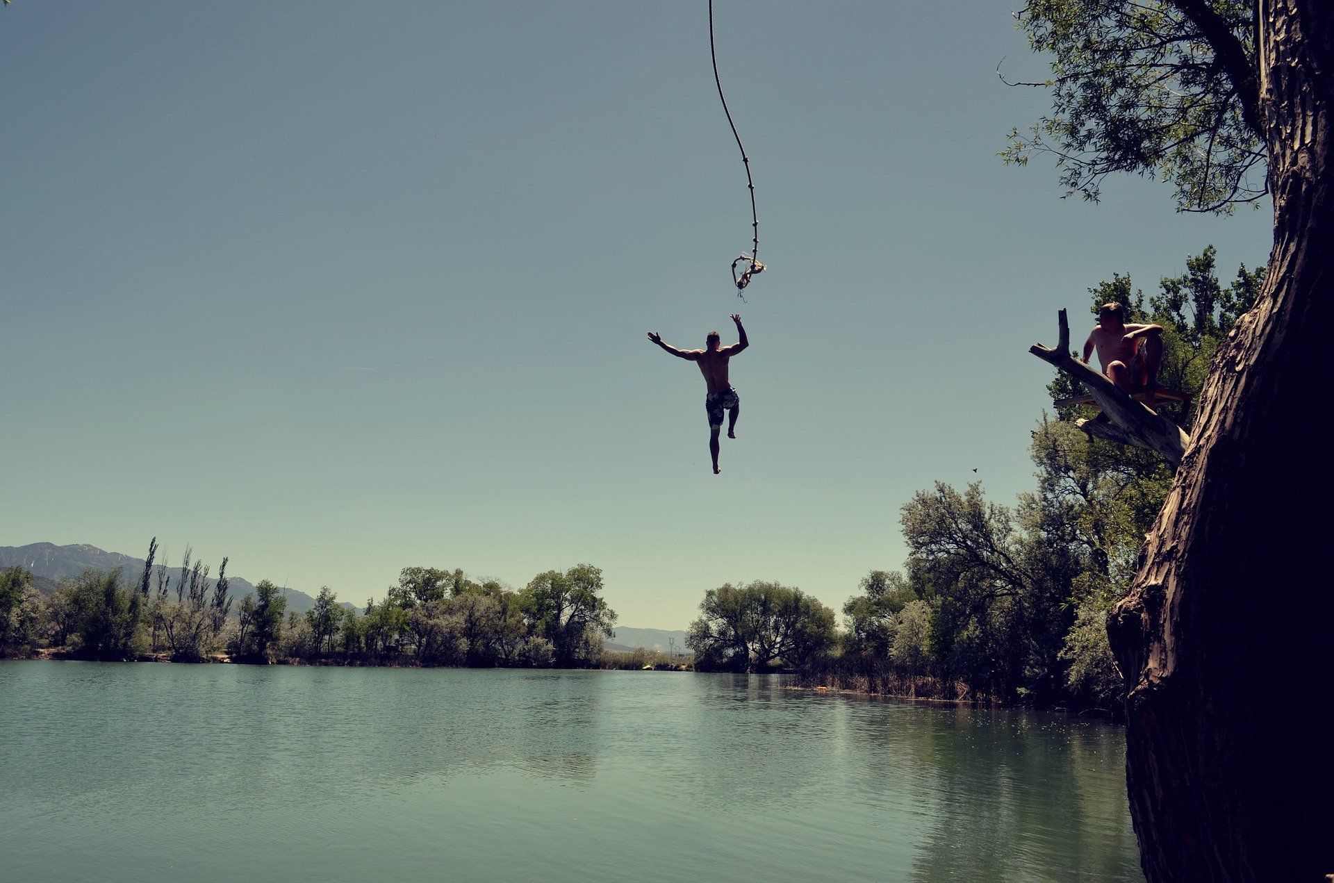 Person jumping into a lake from a rope swing on a sunny day. Another person watches from a tree branch.