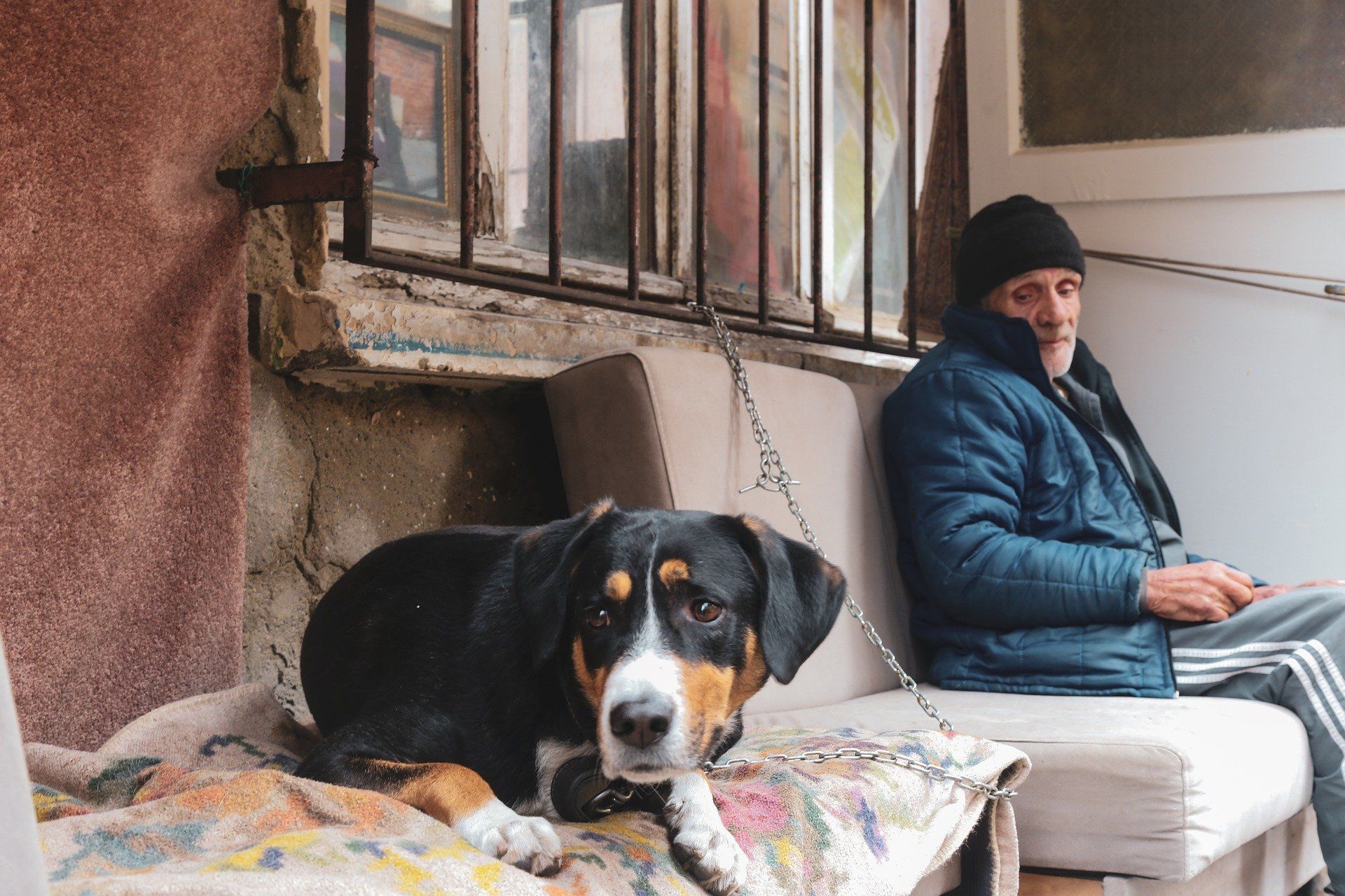 Man and dog on a porch; dog lies down, man sits. Both look at the camera. Building background.
