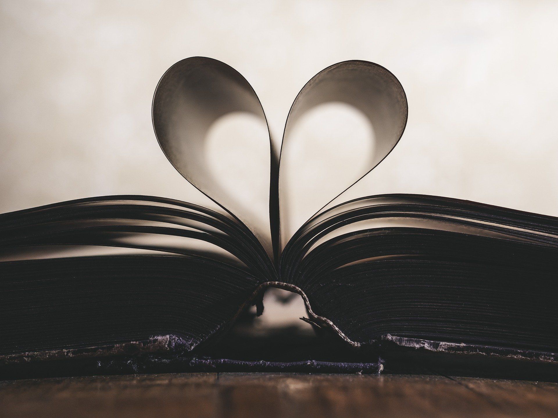 Open book with heart-shaped pages, resting on wood.