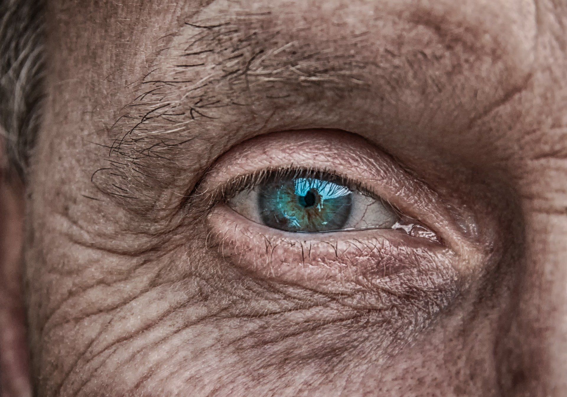 Close-up of an older person's eye, blue iris, wrinkles, showing age and experience.