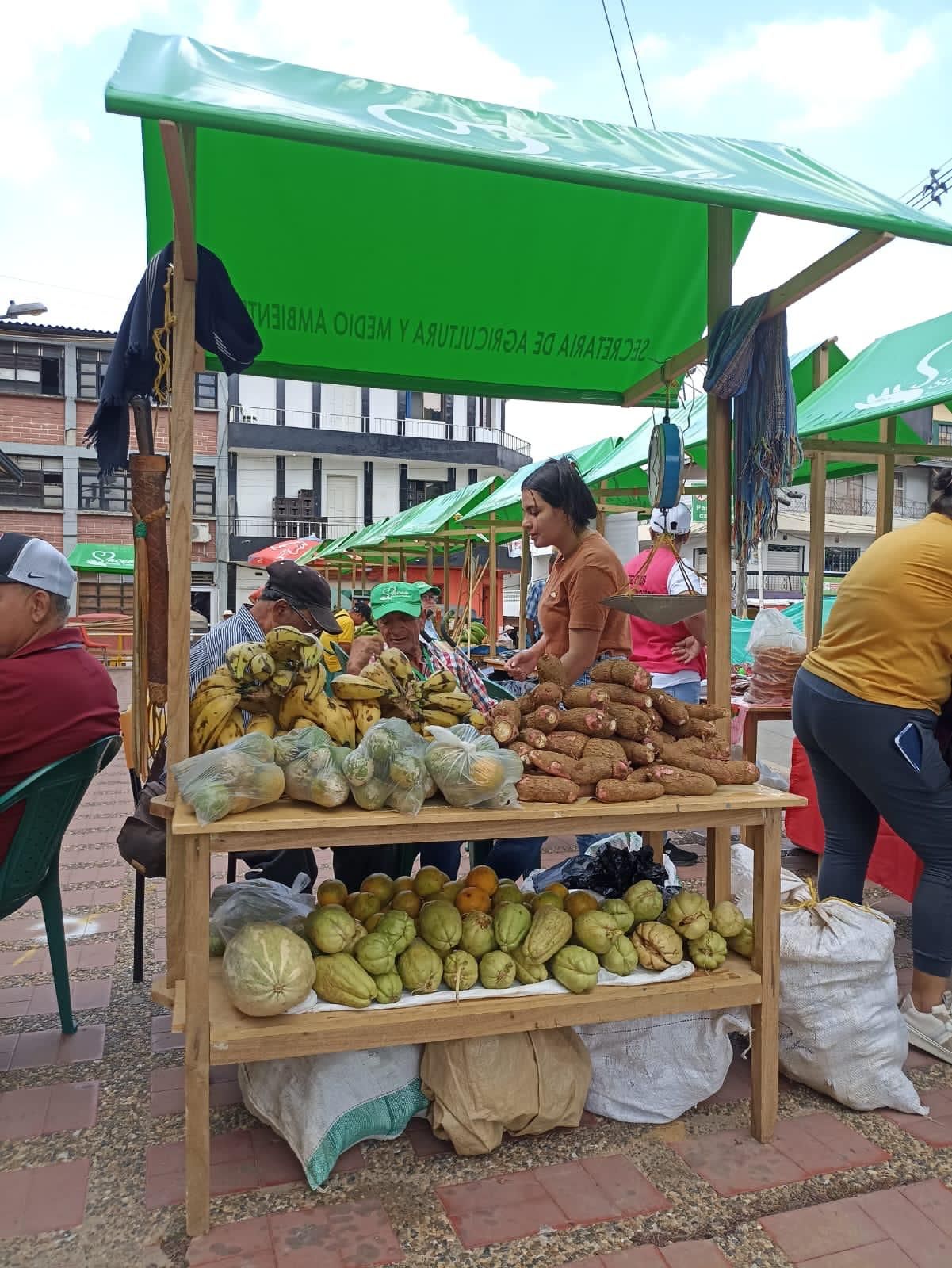 Una mujer está parada detrás de un puesto de frutas en un mercado.