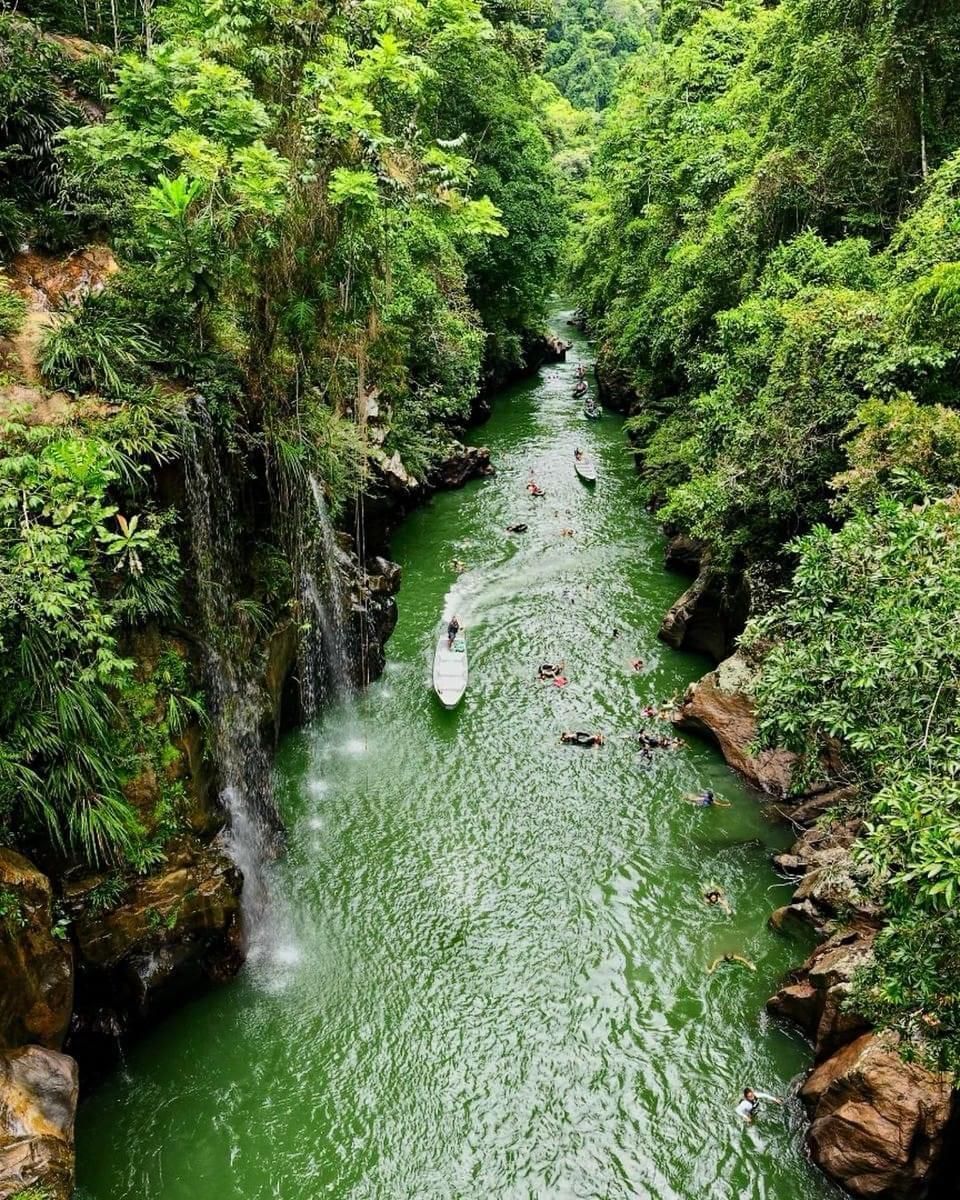 Un barco flota río abajo rodeado de árboles.