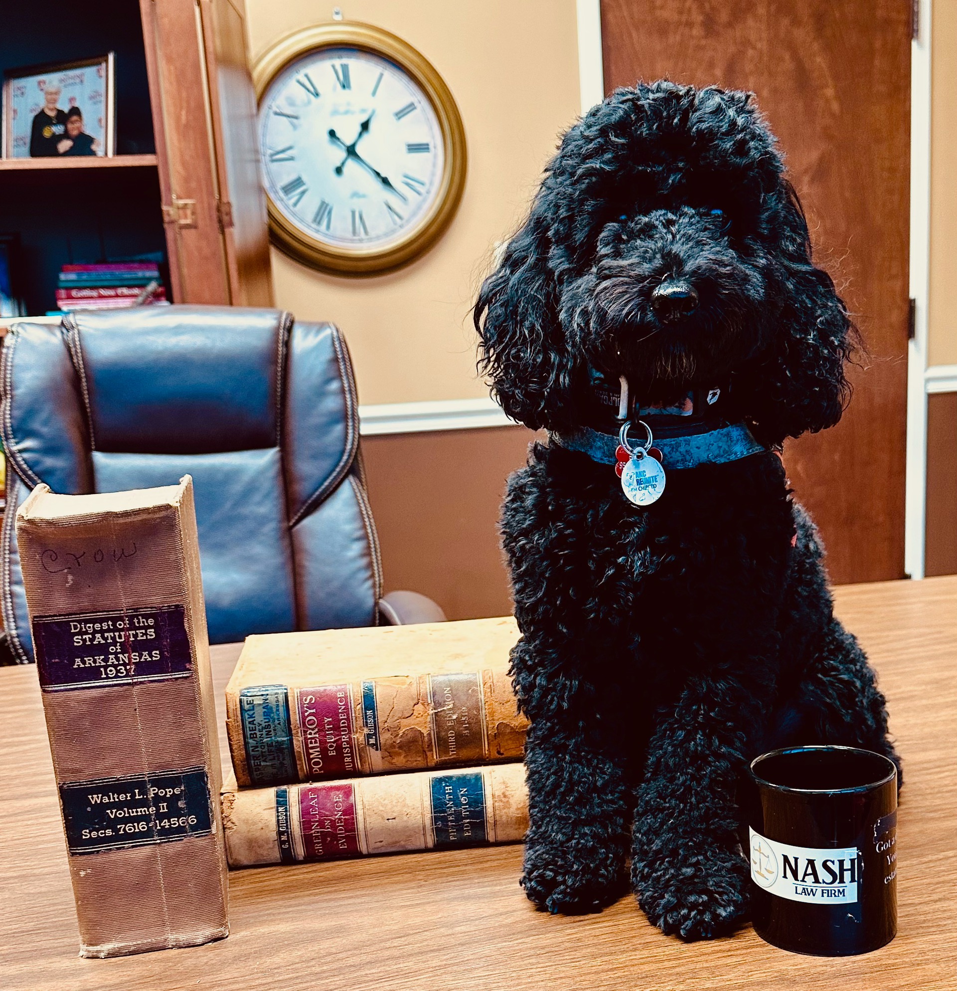 Black poodle sitting at a desk with law books, a mug, and a clock on the wall.