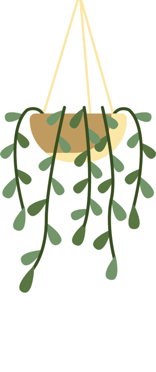 Hanging potted plant with green leaves and a tan pot, suspended by light yellow strings.
