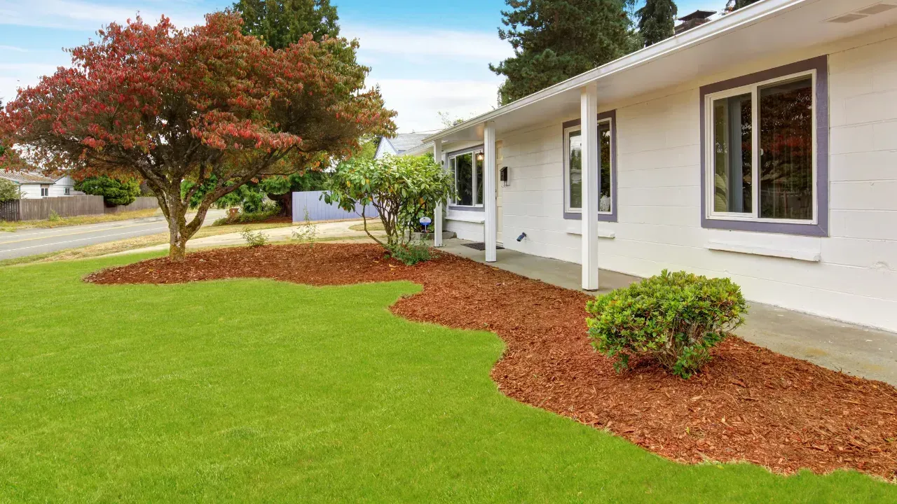 a house with a lawn and mulch garden with bushes and trees