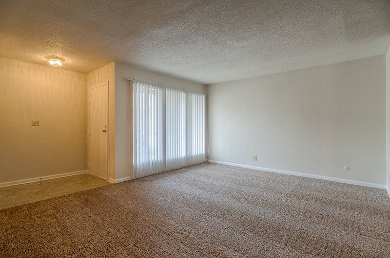 1 Bedroom 1.5 Bath Carpeted Livingroom