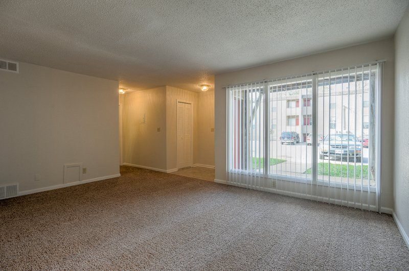 1 Bedroom 1.5 Bath Carpeted Livingroom