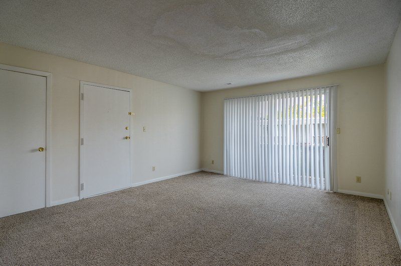 1 bed 1 bath Carpeted Bedroom