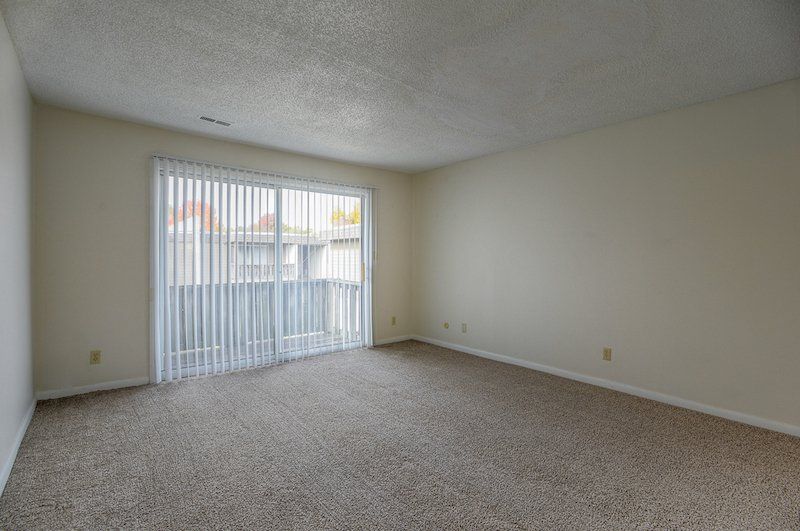 1 bed 1 bath Carpeted Bedroom