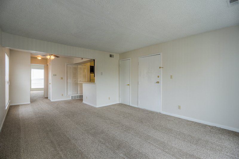1 bed 1 bath Carpeted Bedroom
