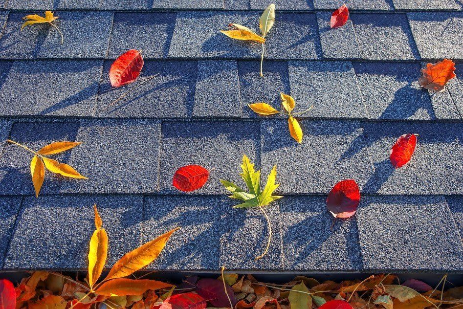 Roof Maintenance — Autumn Leaves in a Roof in Erie, PA