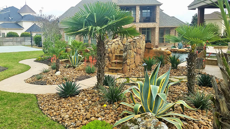 Backyard landscape with palm trees, rock waterfall, pathway, and pool, house in background.