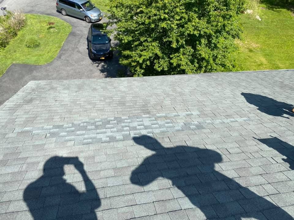 Shadows on a roof of people taking photos; cars on a driveway; green tree and grass.