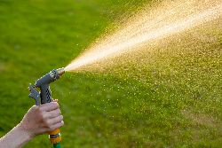 Hand watering a lawn