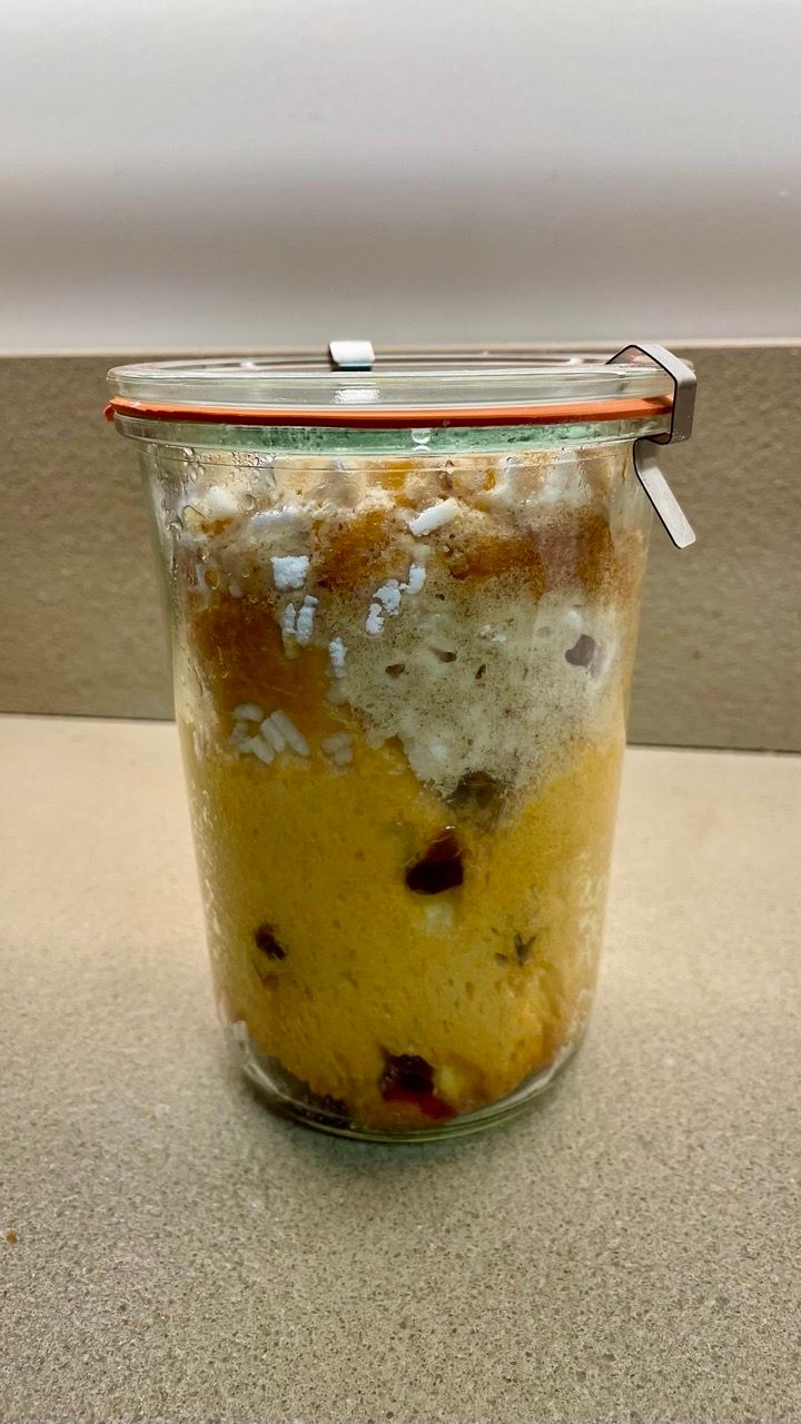 panettone in vaso cottura Pan per Focaccia Brescia