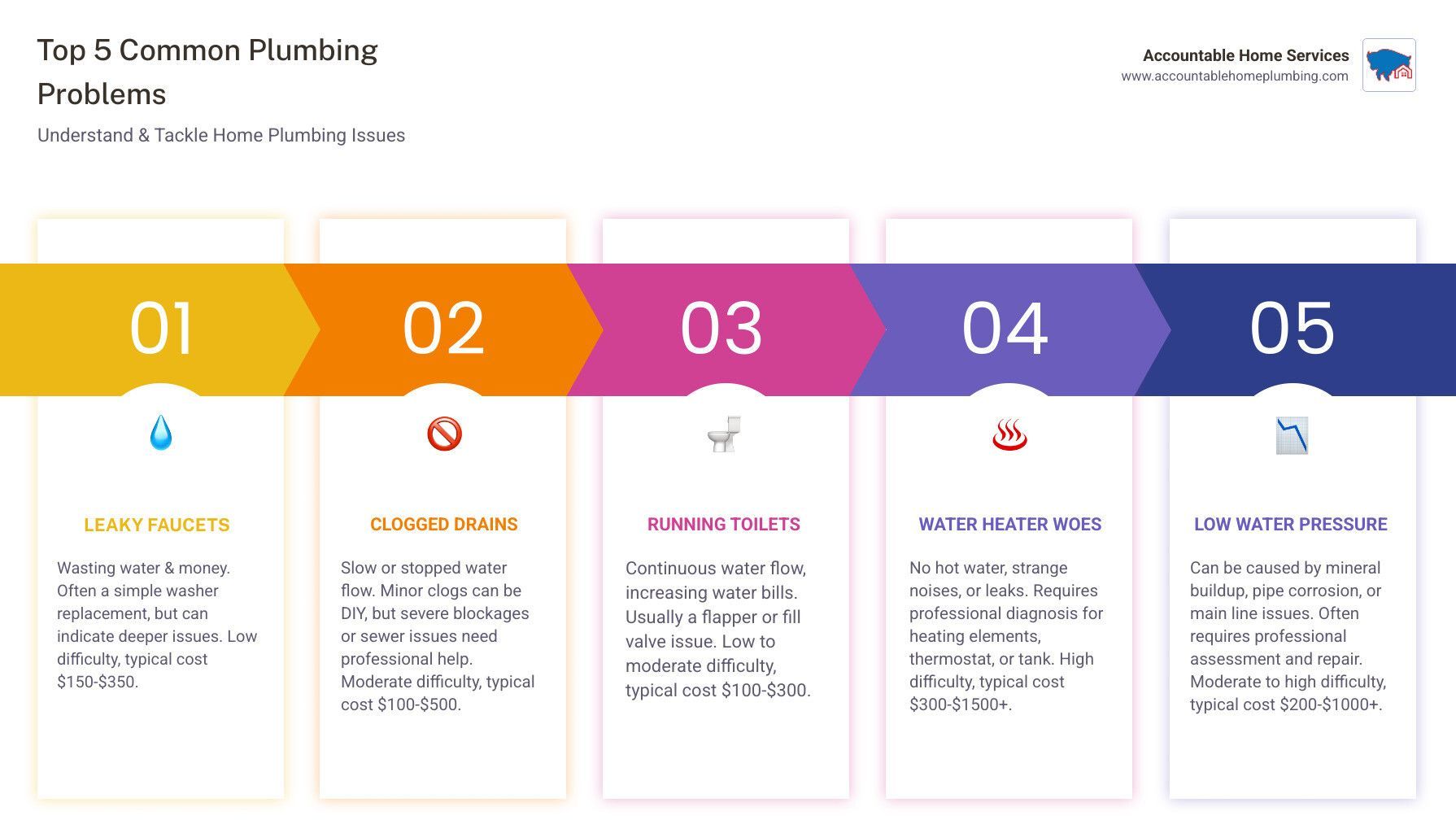 Infographic: Top 5 common plumbing problems. Includes water leaks, clogged drains, running toilets, and others.