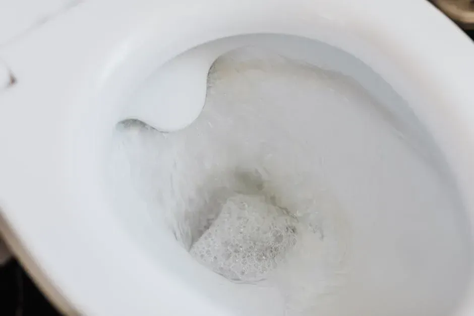 slow flushing toilet - slow flushing toilet solutions