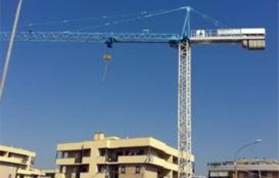 Gru bianca e azzurra 2