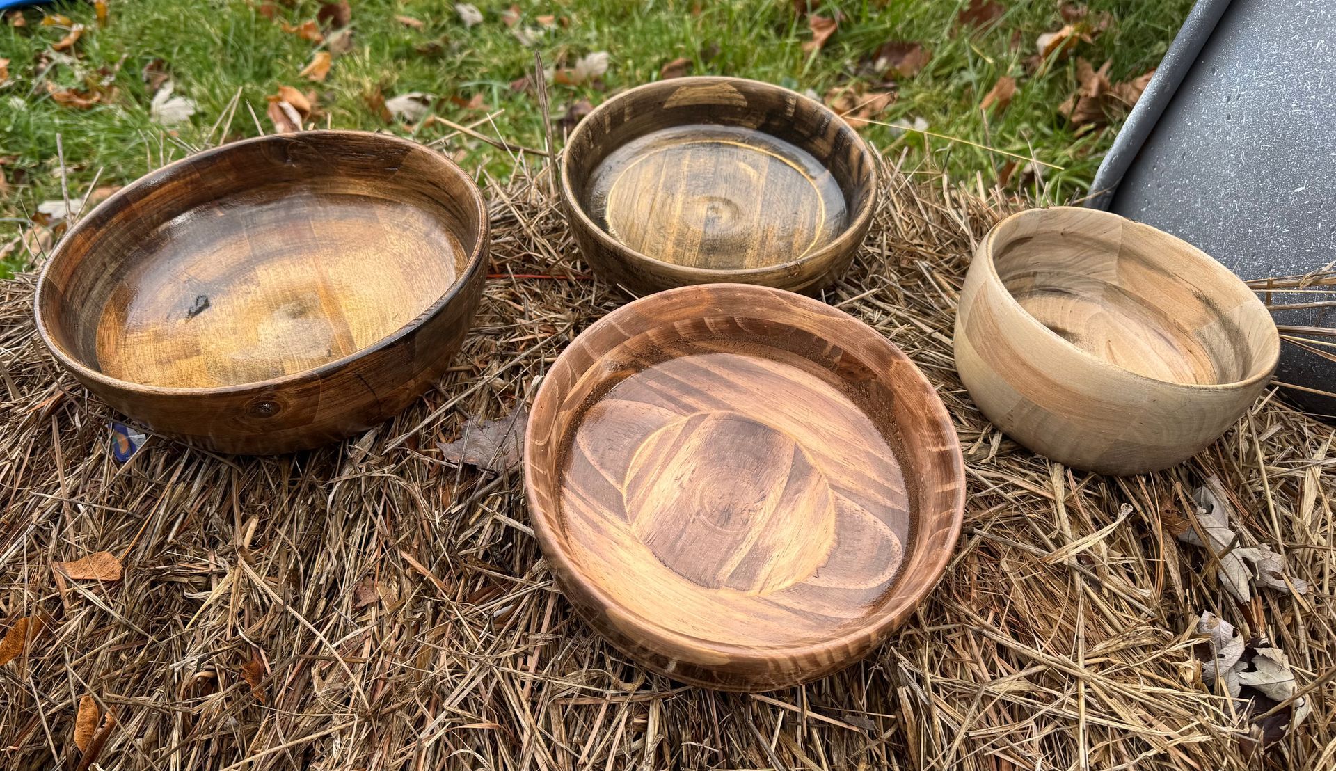 Four wooden bowls of varying shades sit on a bed of hay or straw, outdoors.