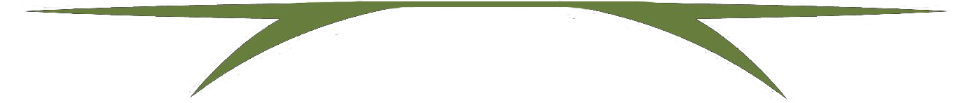 A pair of green scissors on a white background.