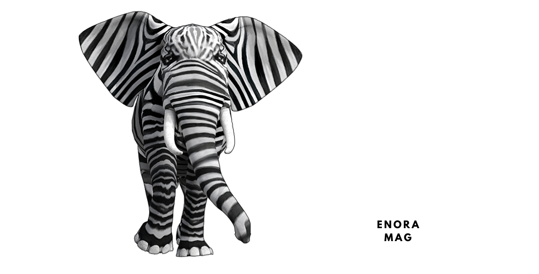 Enora Magazine Squre Logo White - TM