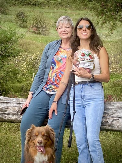 university animal hospital greensboro