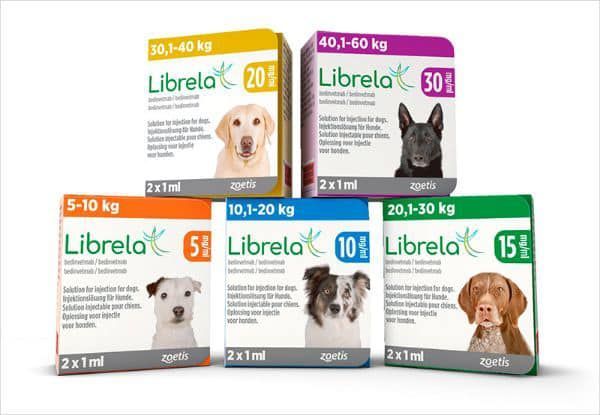 Librela Canine Arthritis Injection | Greensboro, NC | University 