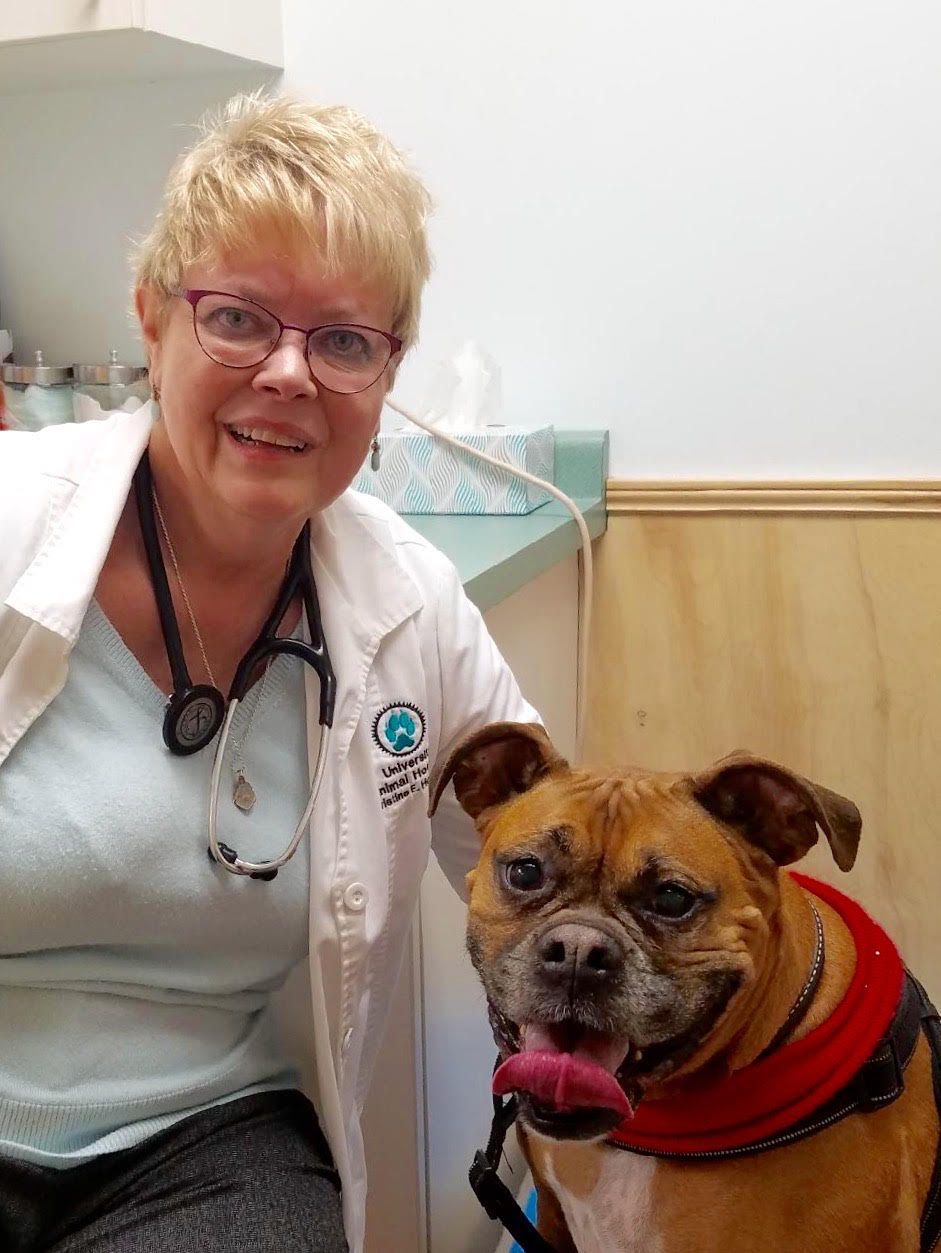 Smiling Dog with our Local Veterinary Specialist
