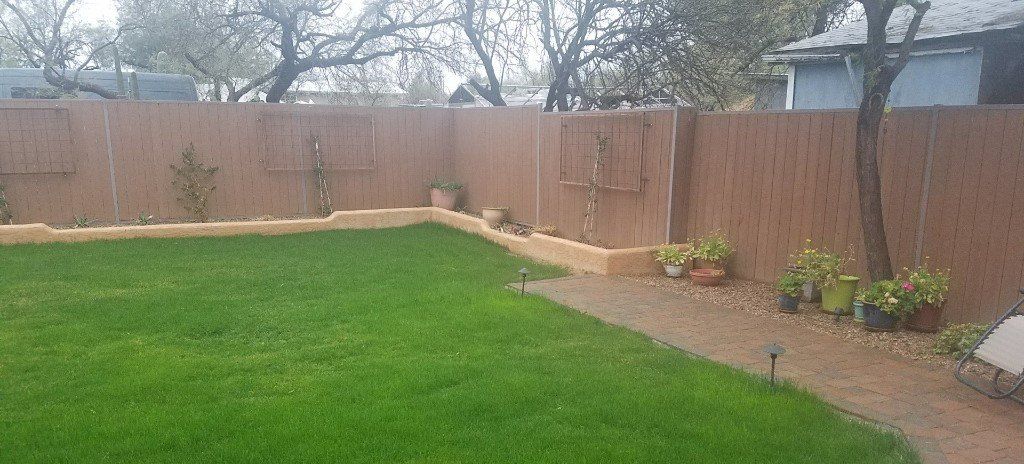 Wood fence with tree — Fence products in Tucson, AZ