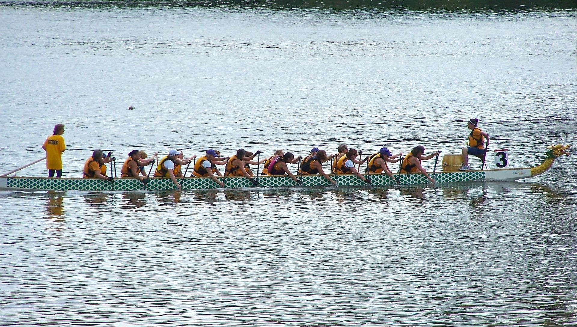 Project program management