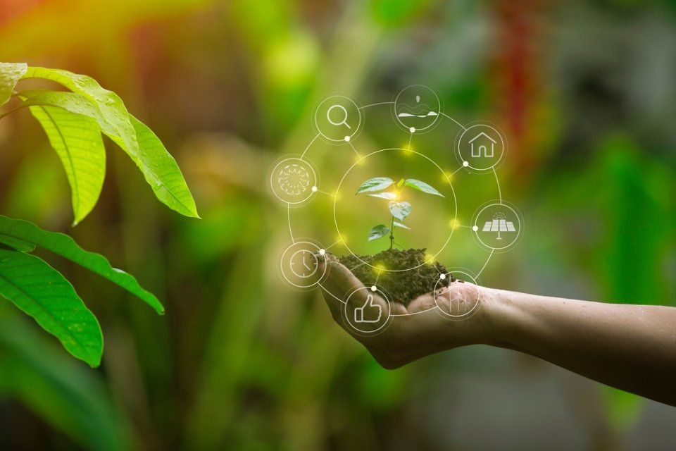 prodotti che rispettano la natura