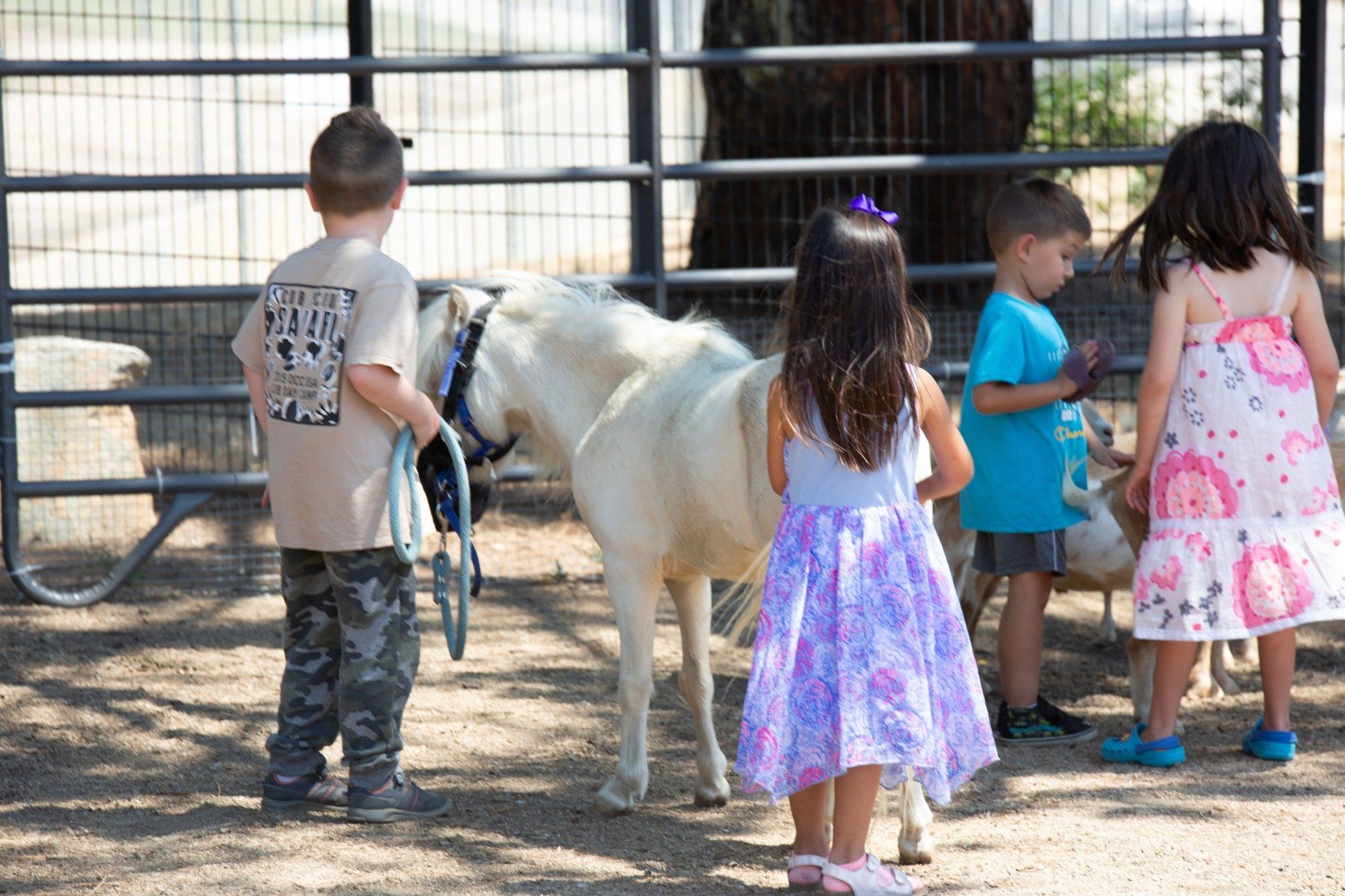 A group of children are standing around a pony in a pen.
