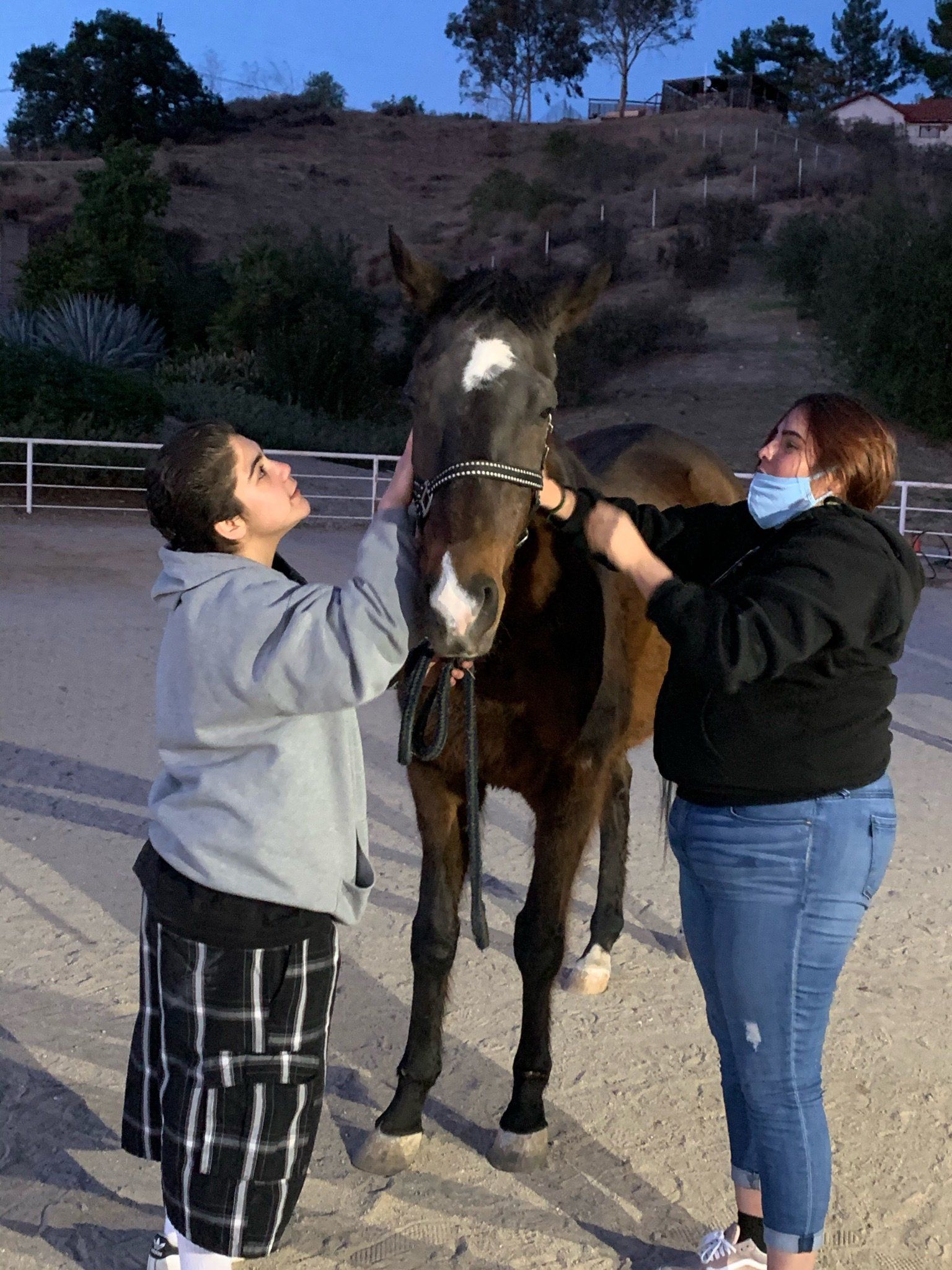 a boy and a woman are petting a brown horse