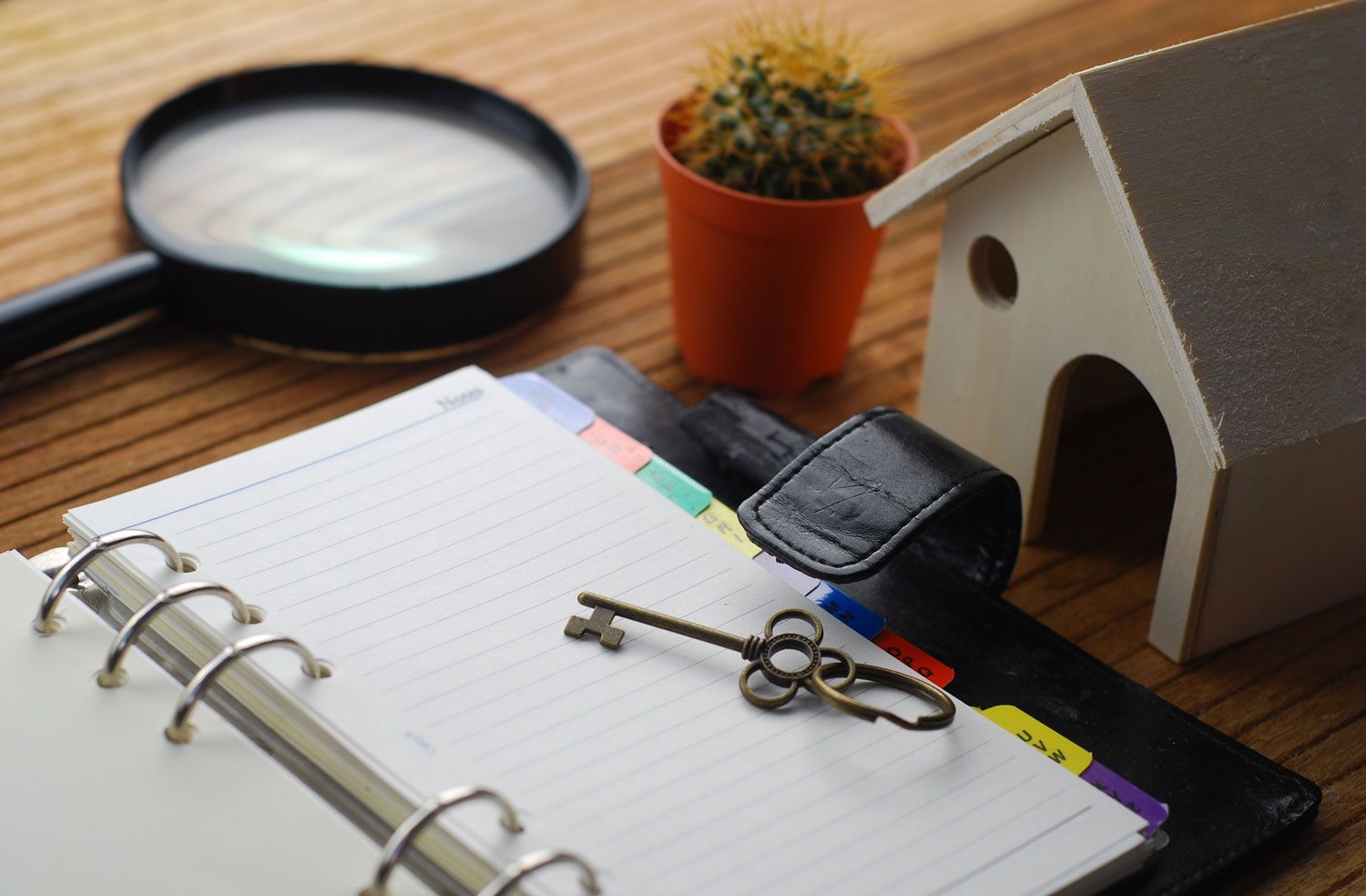 A House Key, Magnifying Glass, Plant And A House Miniature
