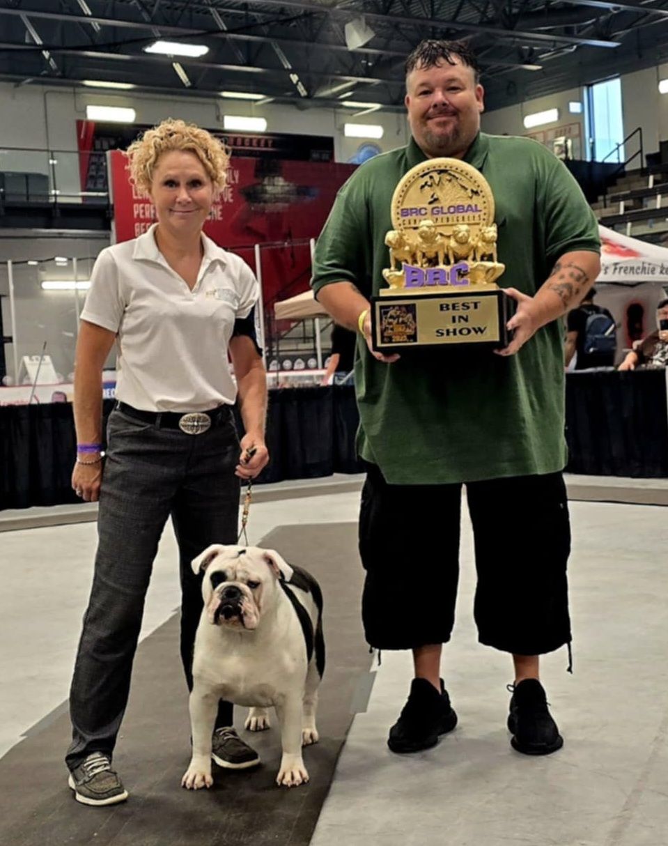 Jewels in North Country Bulldogges