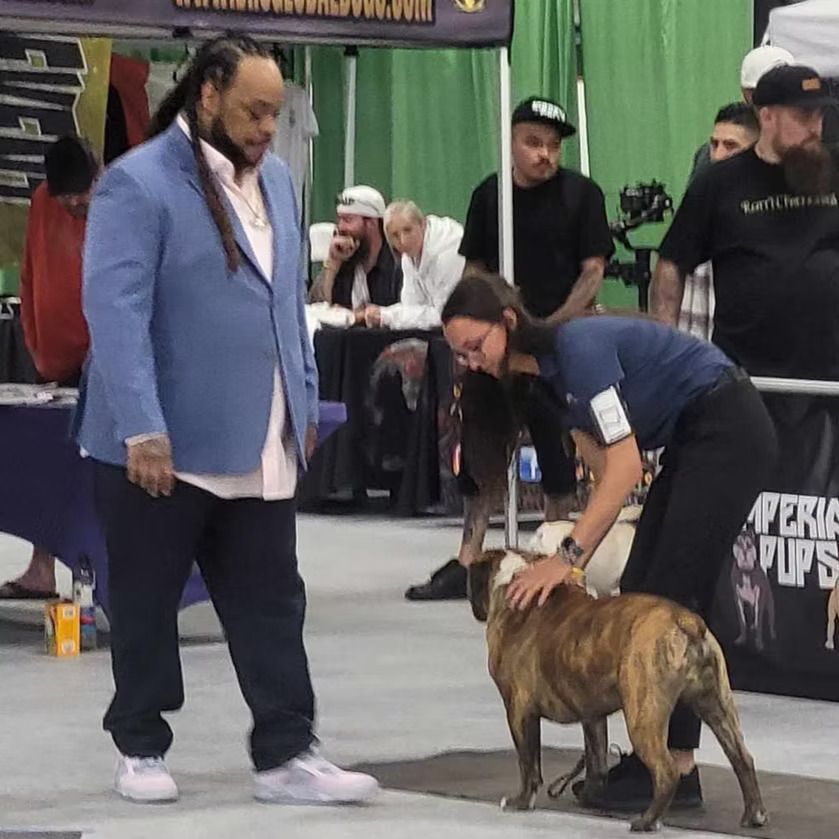 A man in a blue jacket stands next to a woman petting a dog